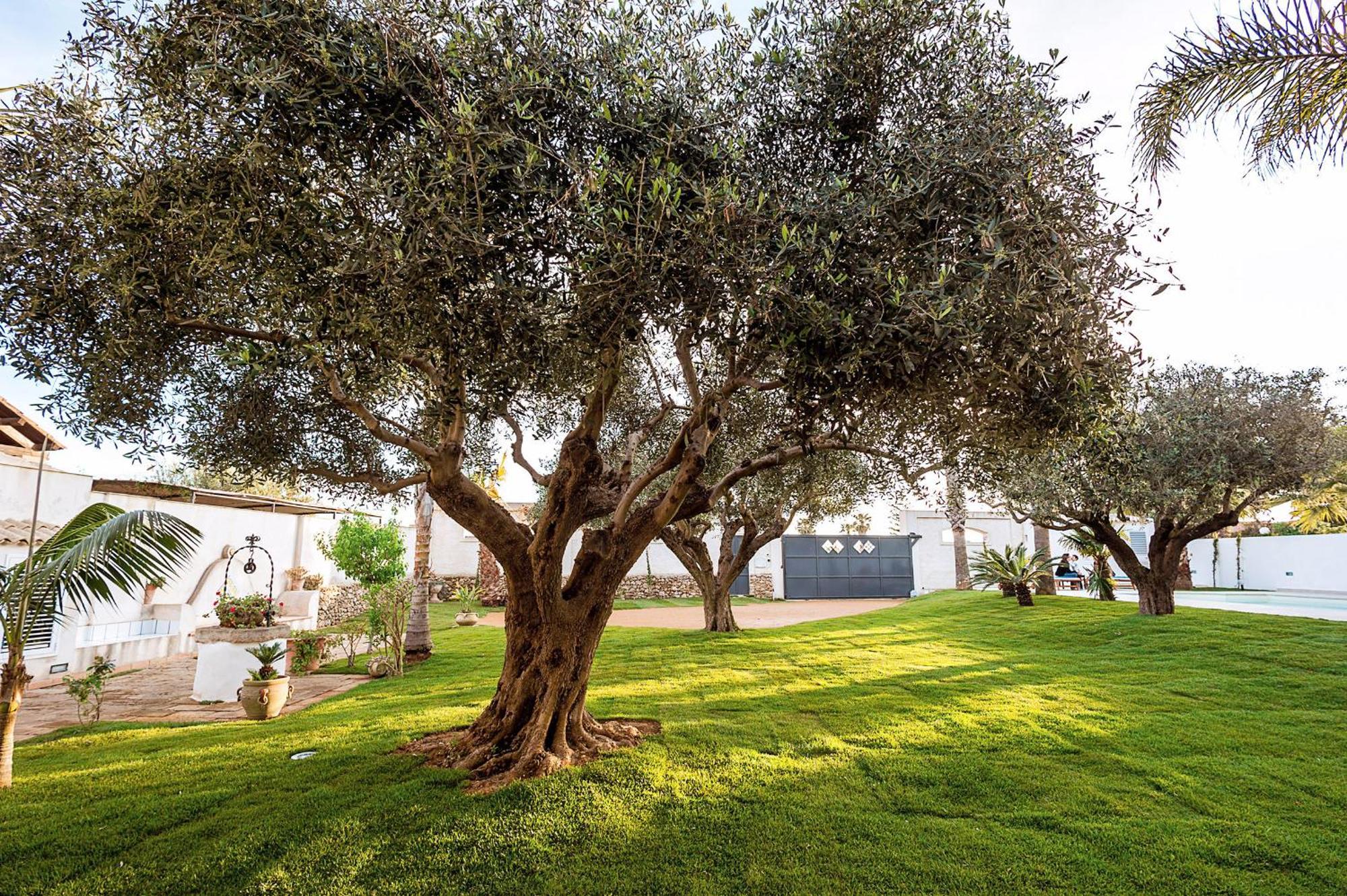 Casa Marsala 아파트 외부 사진